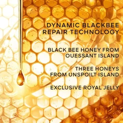 Abeille Royale Anti Dark Spot Cream Refill