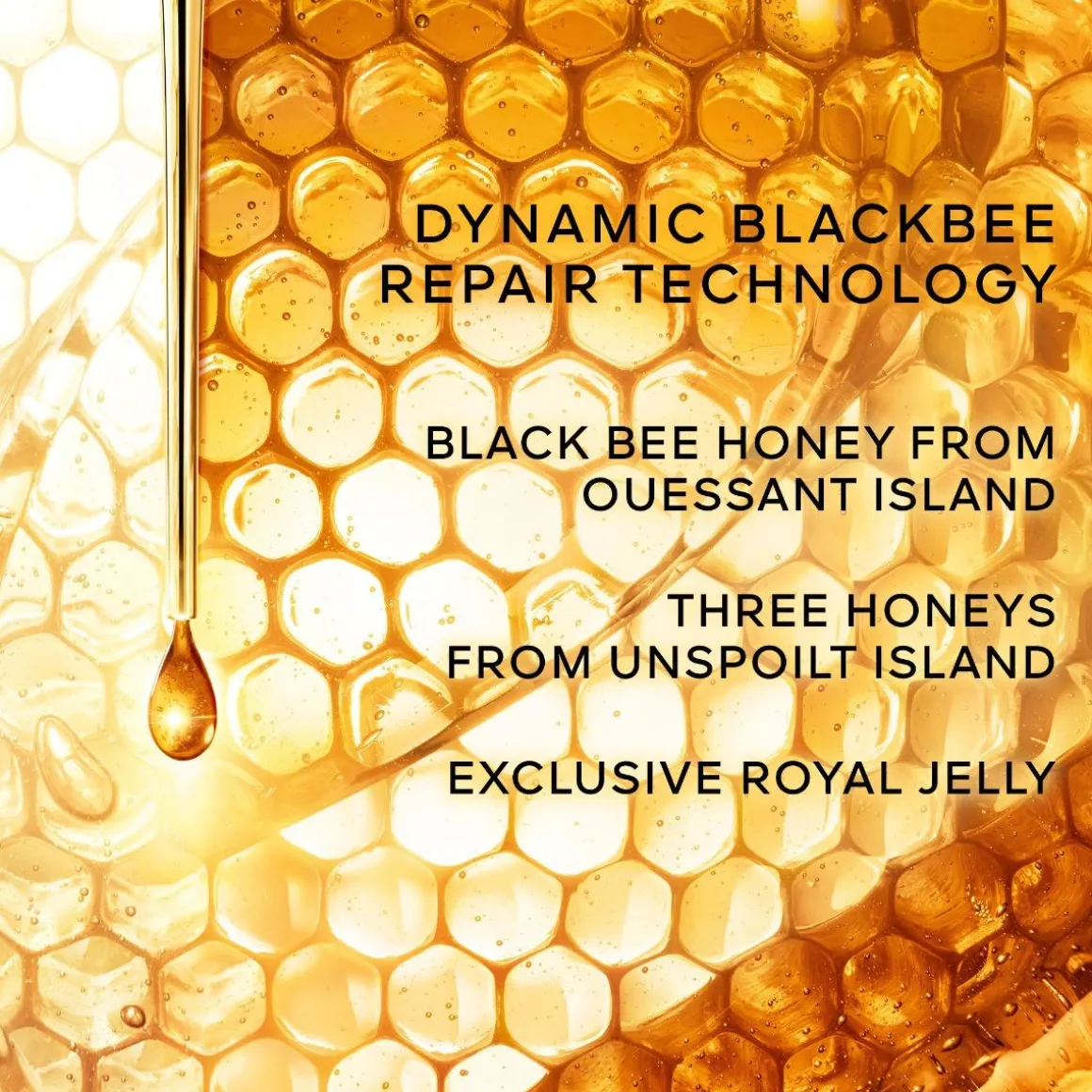 Abeille Royale Anti Dark Spot Cream Refill
