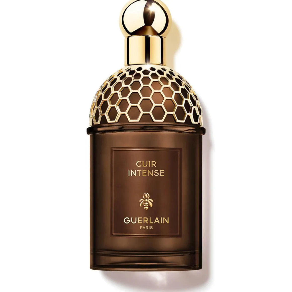 Absolus Allegoria Cuir Intense Parfum