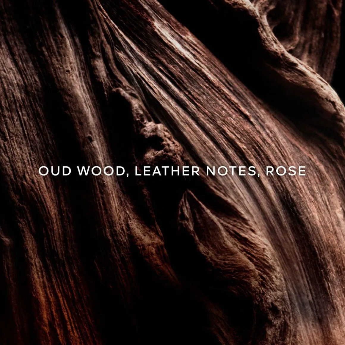 Absolus Allegoria Oud Essentiel Parfum