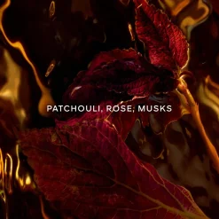 Absolus Allegoria Patchouli Ardent Parfum