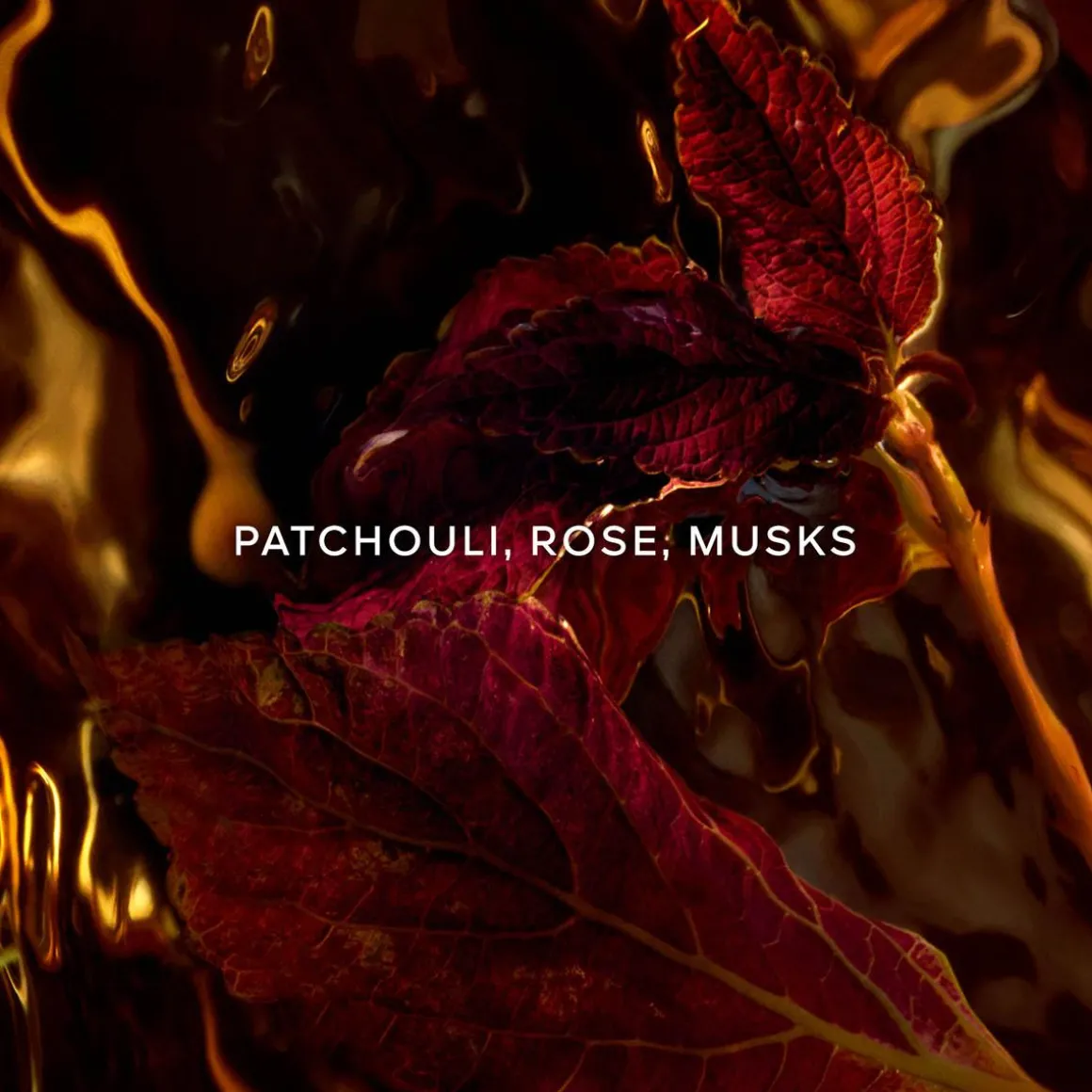 Absolus Allegoria Patchouli Ardent Parfum