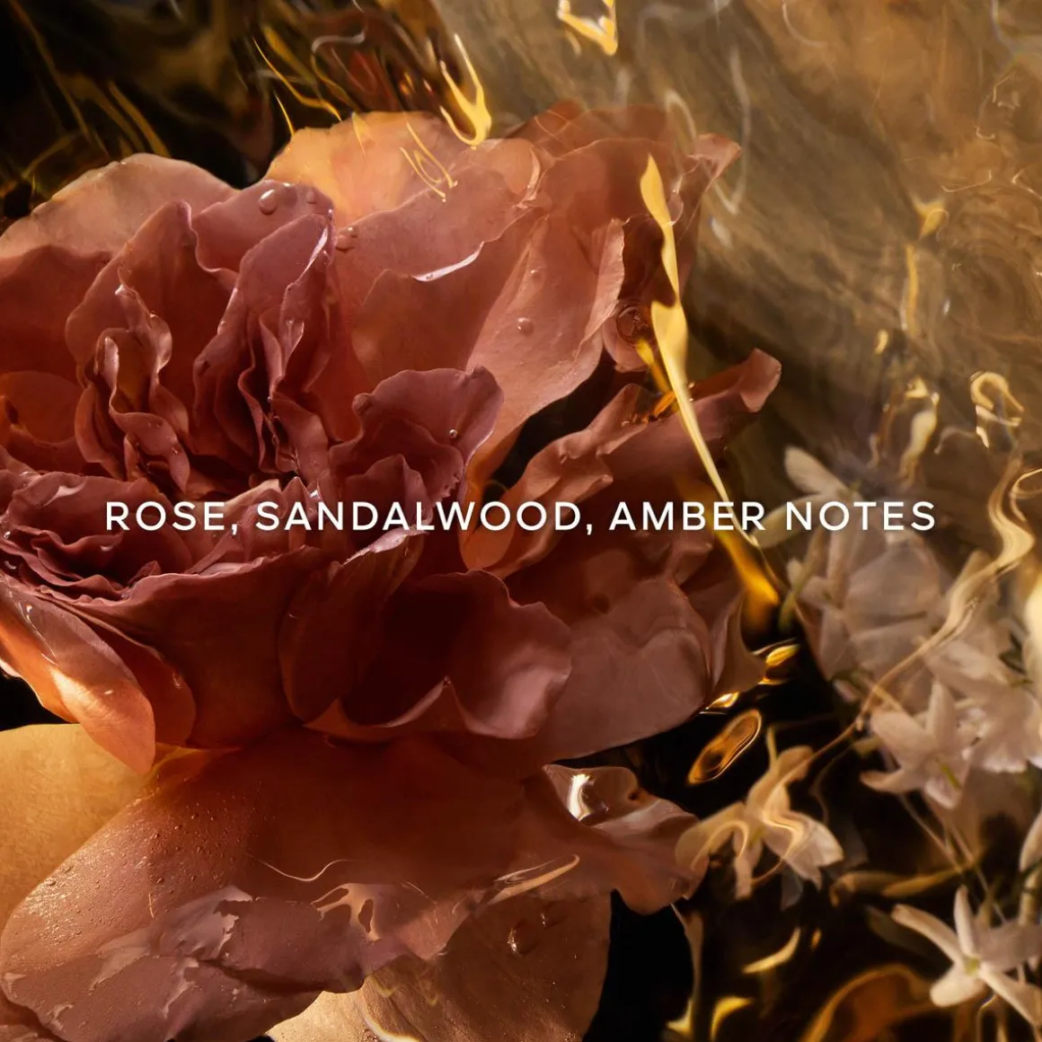 Absolus Allegoria Santal Royal Parfum