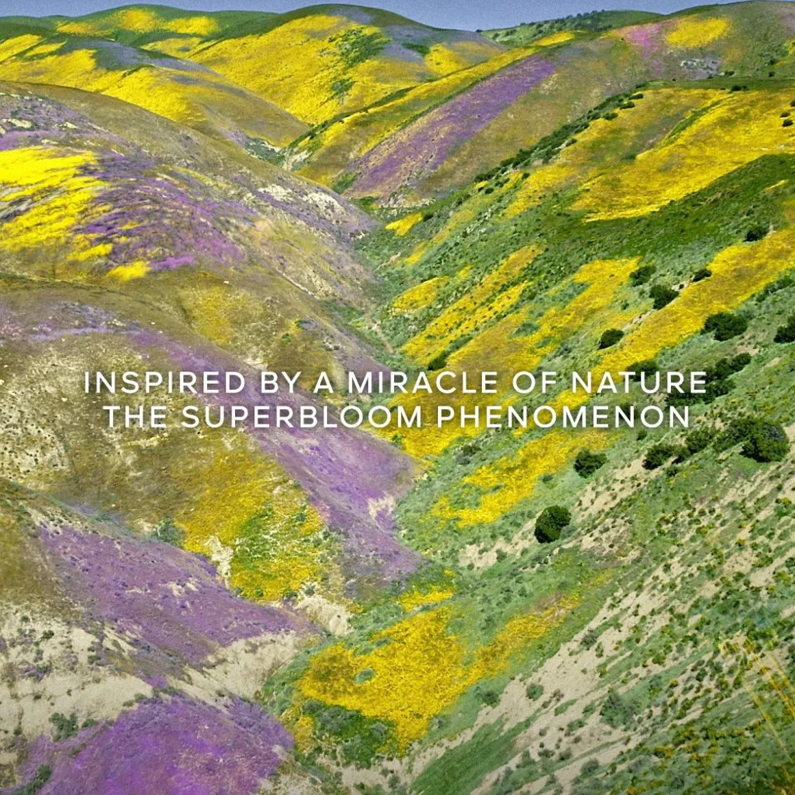 Aqua Allegoria Florabloom Forte Parfum