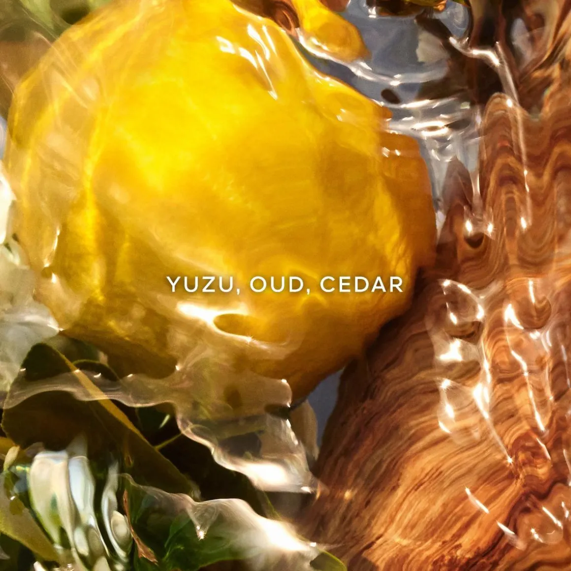 Aqua Allegoria Forte Oud Yuzu Parfum Kopen