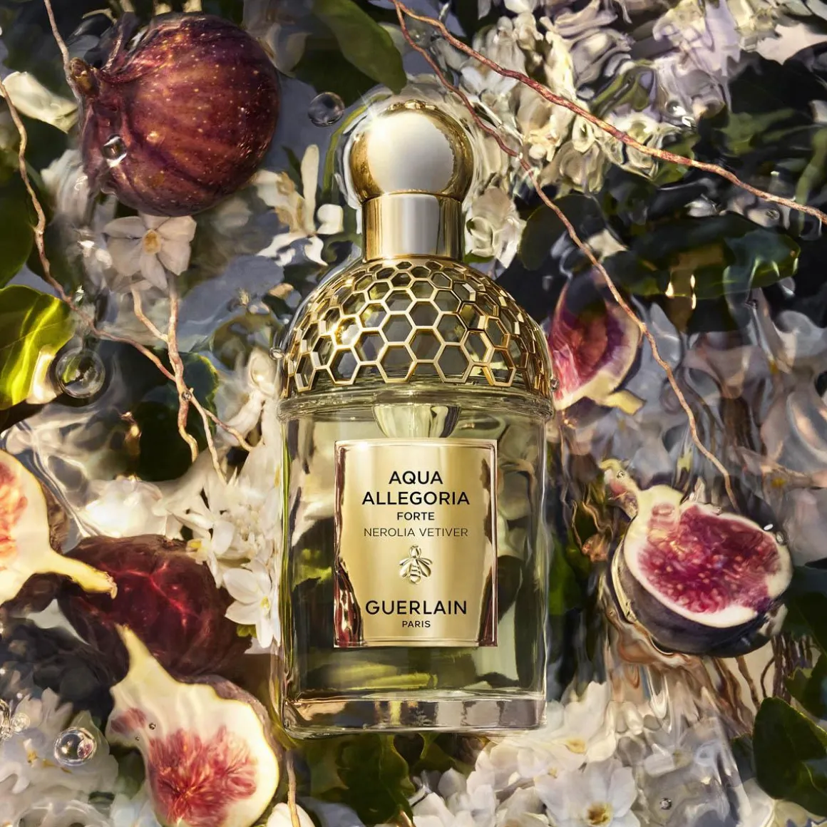 Aqua Allegoria Nerolia Vetiver Forte Kopen