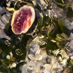 Aqua Allegoria Nerolia Vetiver Forte Kopen
