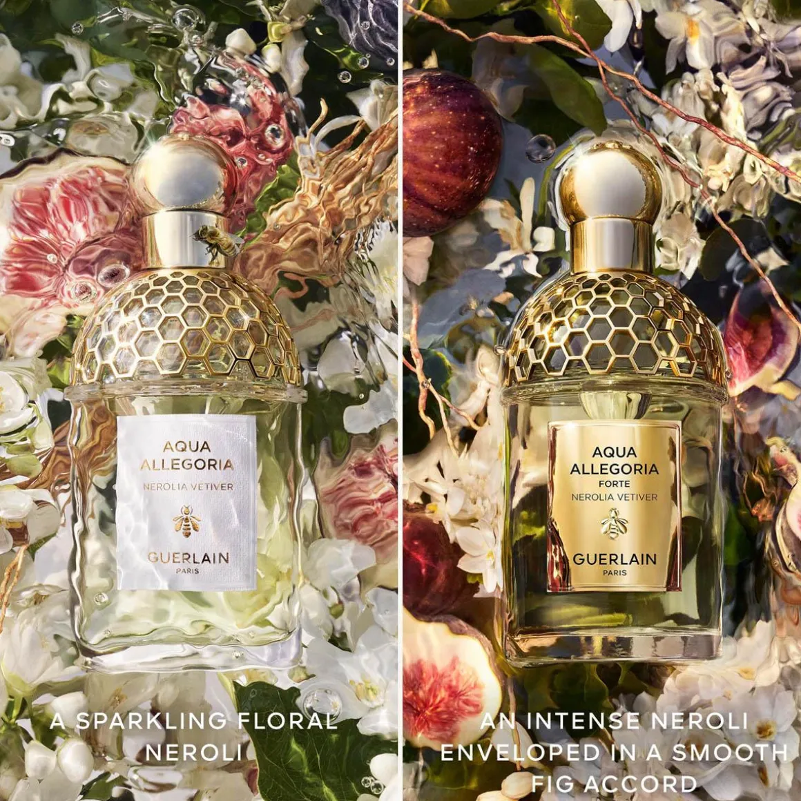 Aqua Allegoria Nerolia Vetiver Forte Kopen