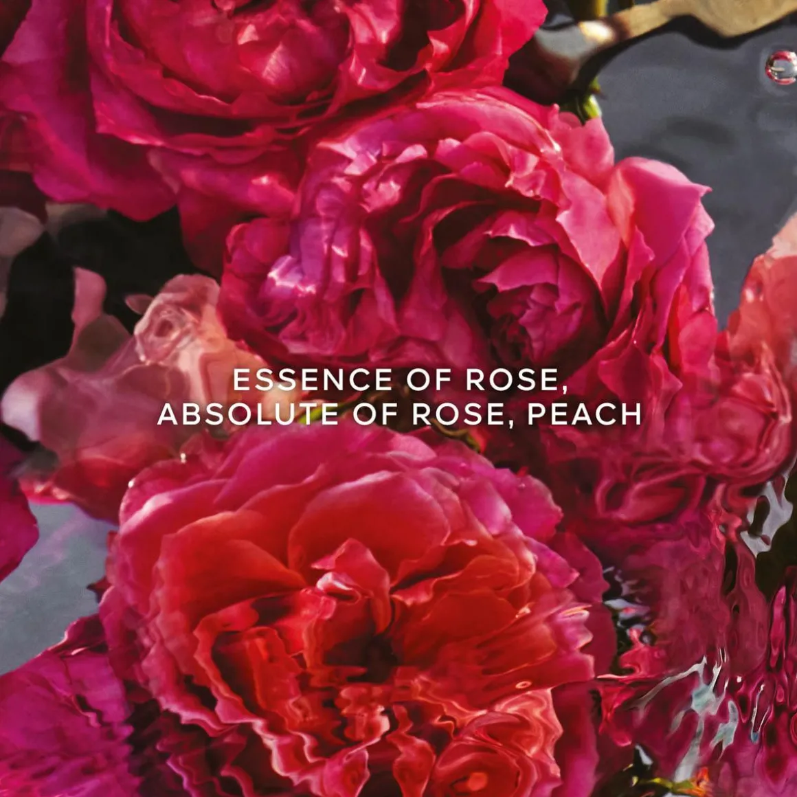 Aqua Allegoria Rosa Rossa Forte Parfum