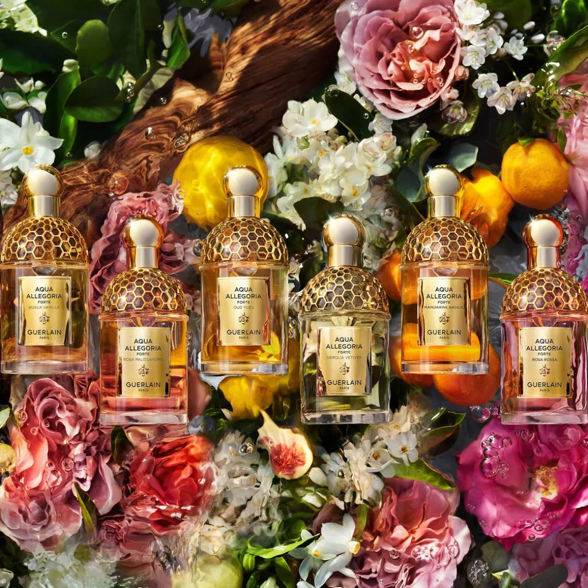 Aqua Allegoria Rosa Rossa Forte Parfum