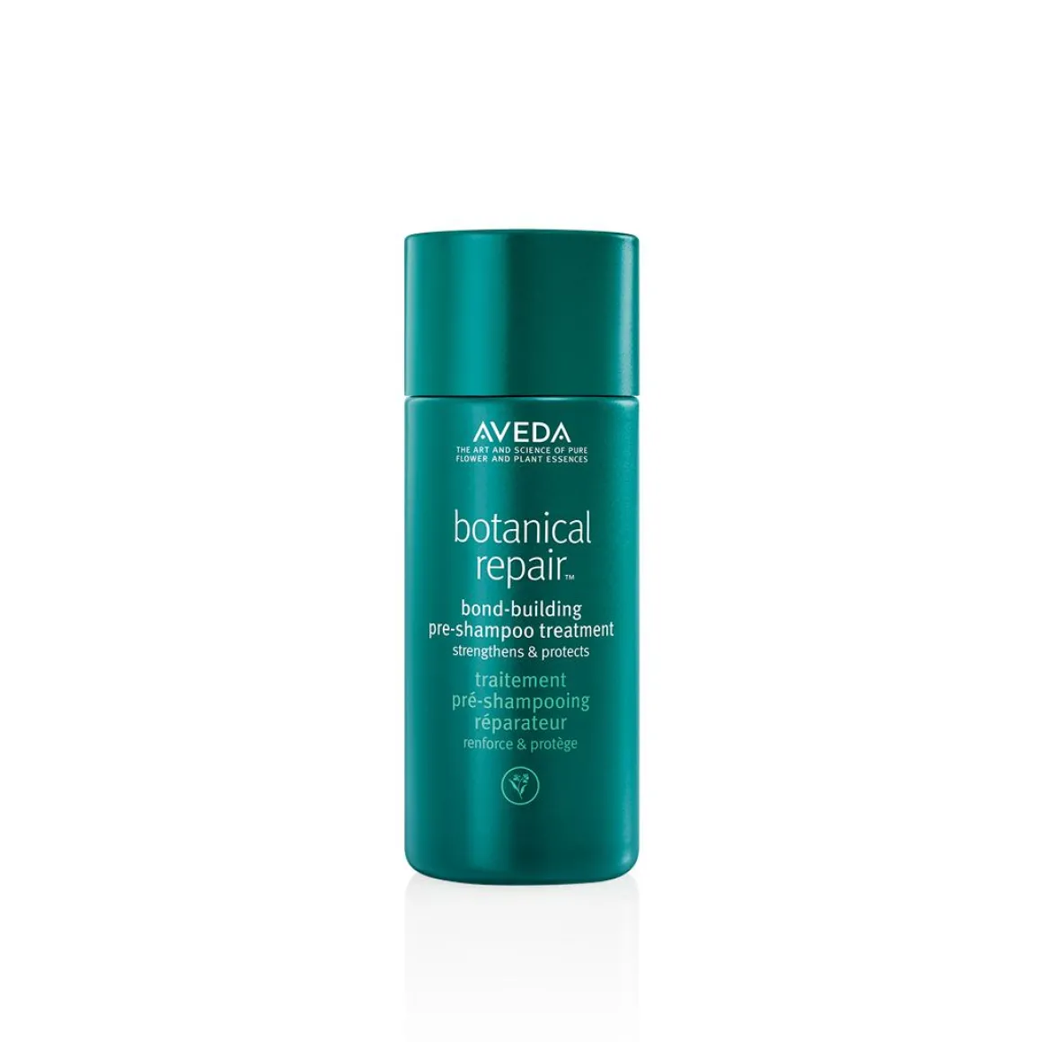 Aveda Botanical Repair PreShampoo Treatment