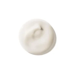 Aveda Botanical Repair PreShampoo Treatment