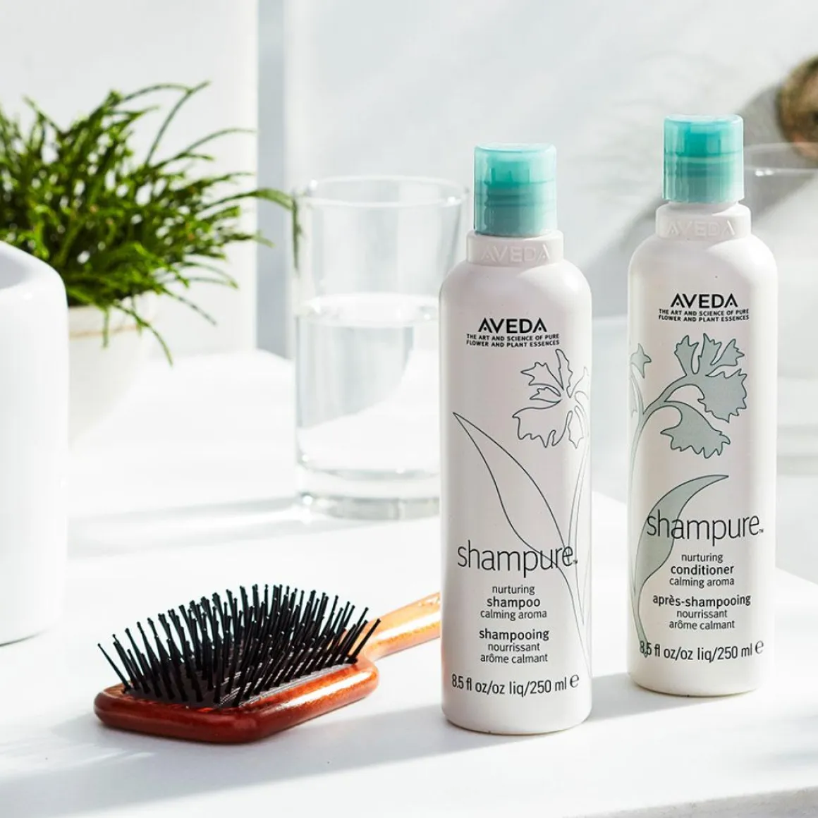 Aveda Paddle Brush Kopen