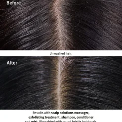 Aveda Scalp Solutions Balancing Shampoo