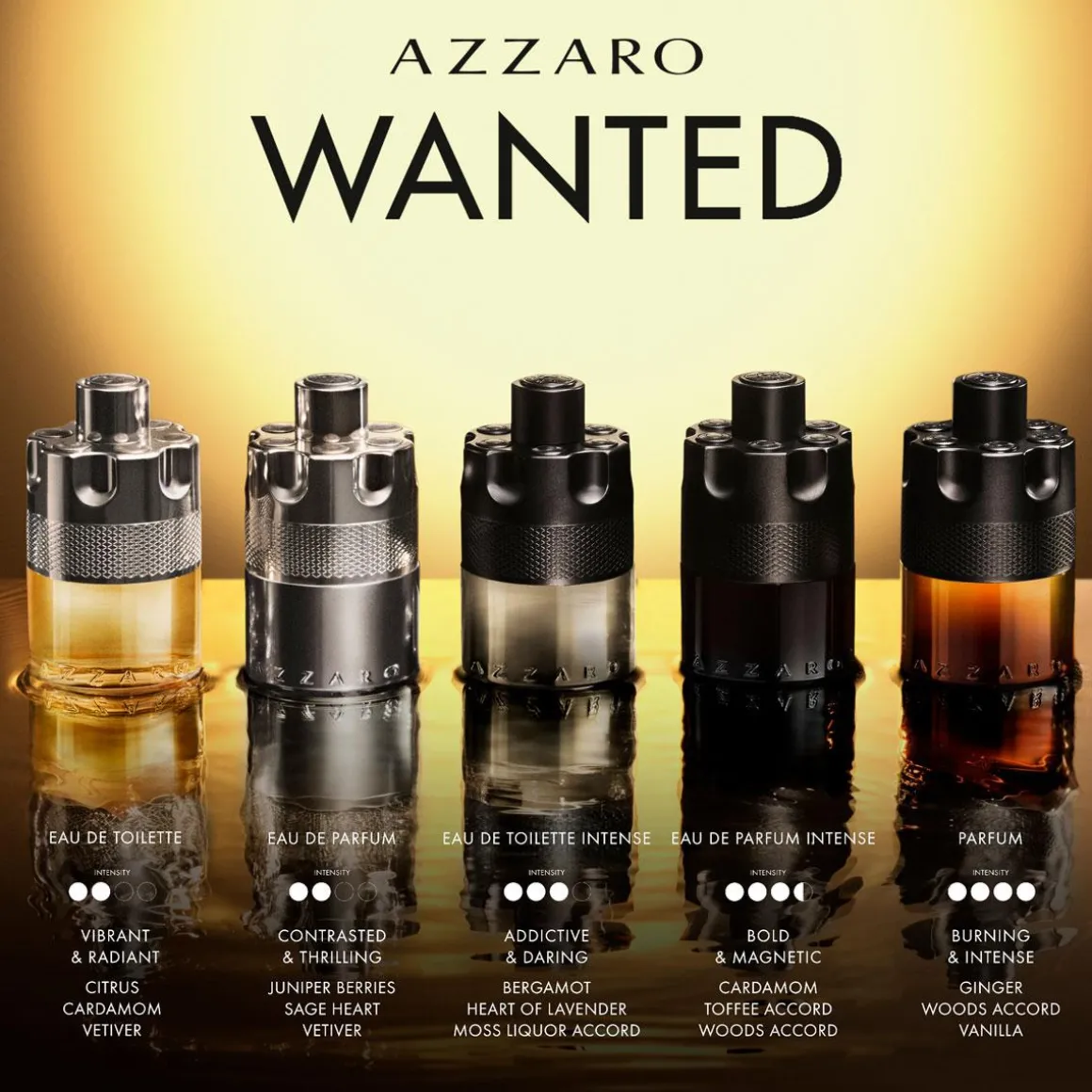 Azzaro The Most Wanted Intense Kopen