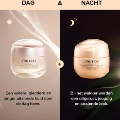 Benefìance Overnight Wrinkle Resisting