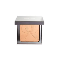 Blur Expert Perfecting Smoothing Powder