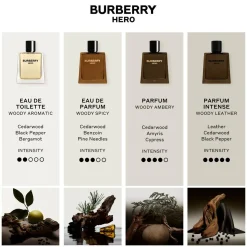 Burberry Hero Eau De Parfum Kopen