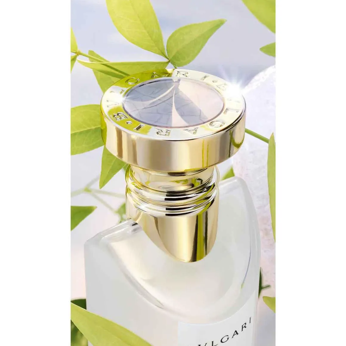Bvlgari Eau Parfumeé Thé Blanc Kopen