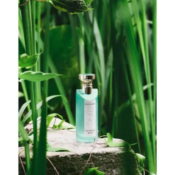 Bvlgari Eau Parfumeé Thé Vert Kopen