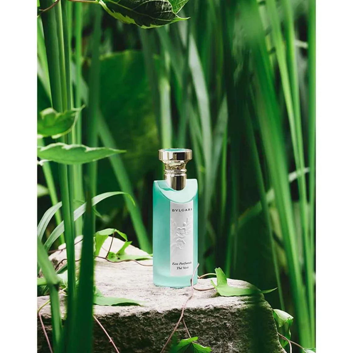 Bvlgari Eau Parfumeé Thé Vert Kopen