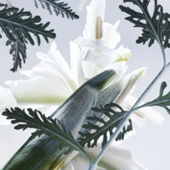 Bvlgari Man Glacial Essence Parfum Kopen