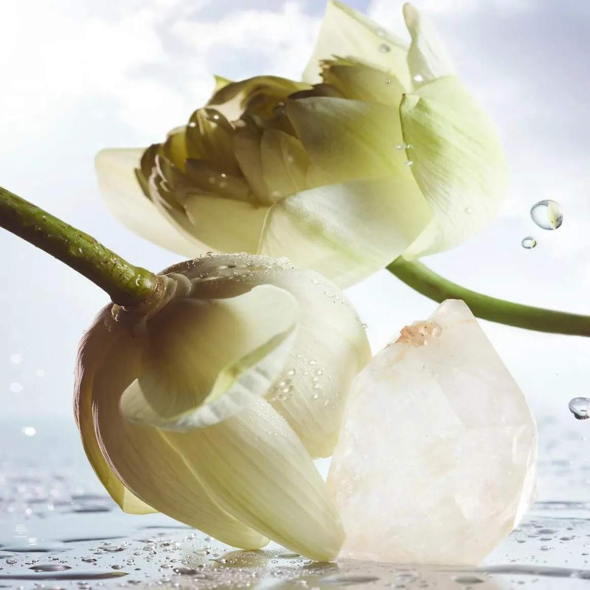 BVLGARI Man Rain Essence Eau De Parfum