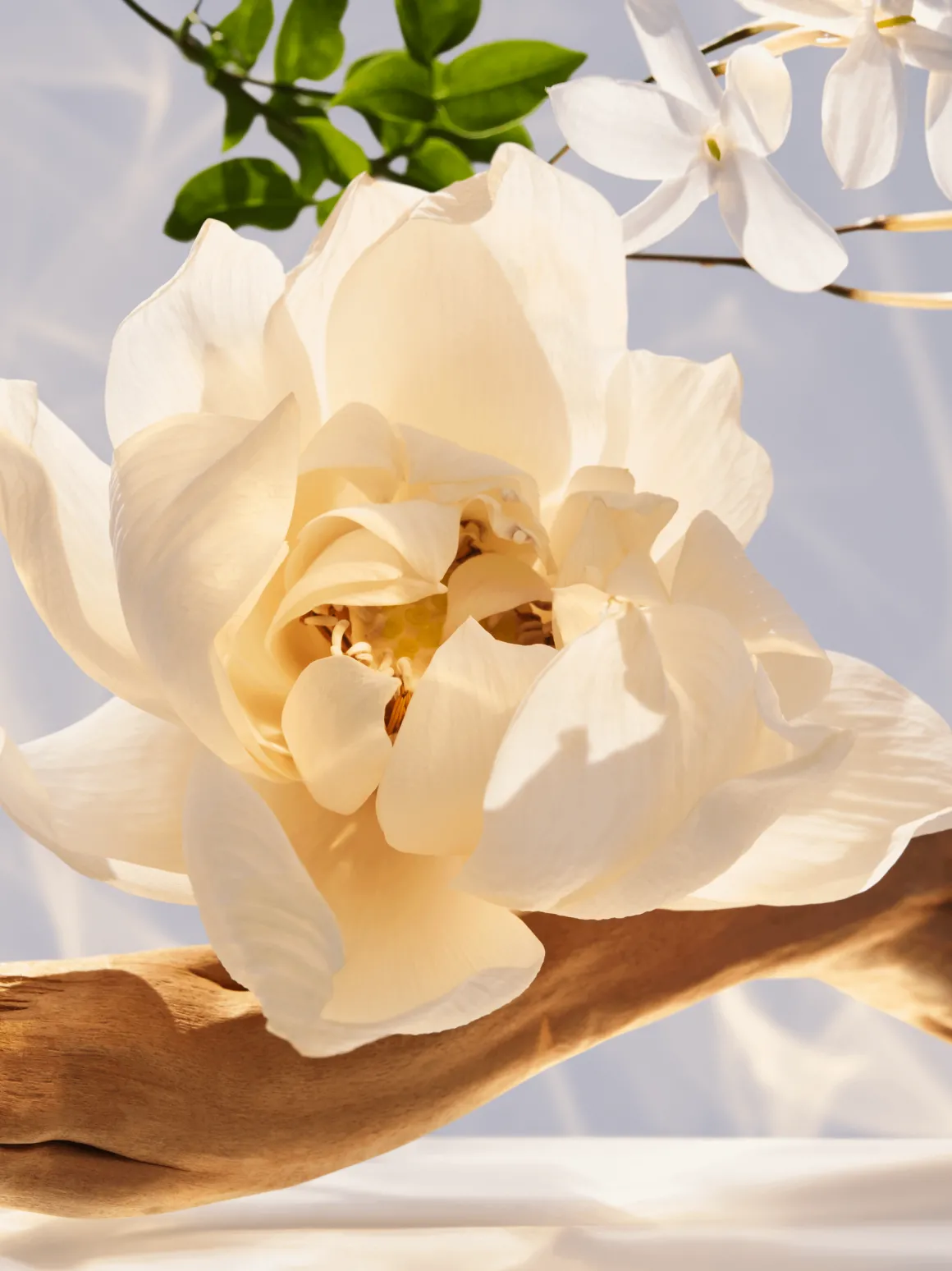 Bvlgari Omnia Crystalline Eau De Parfum