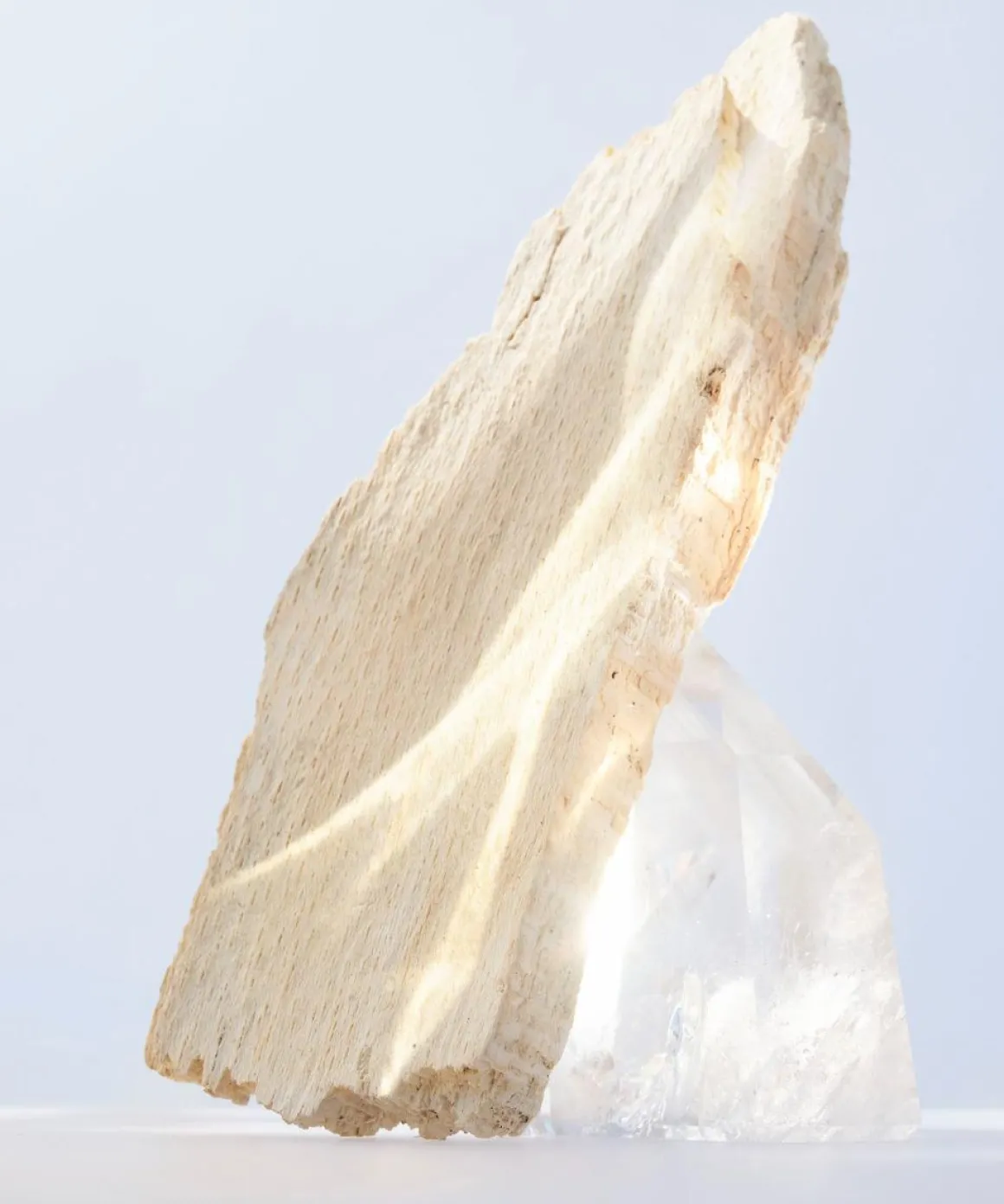 Bvlgari Omnia Crystalline Kopen