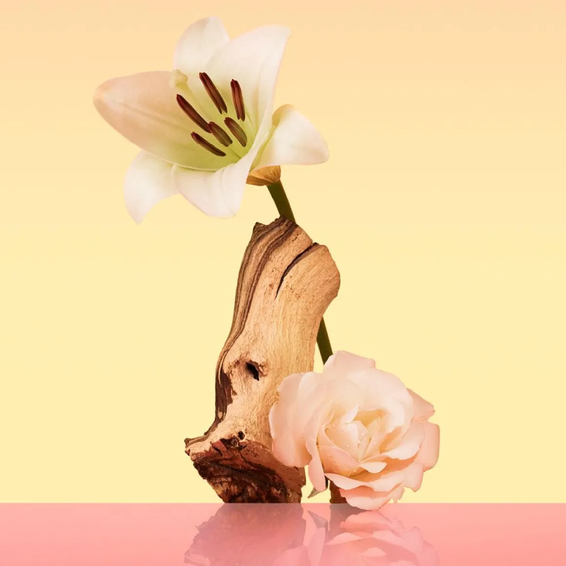 Calvin Klein Eternity Eau De Parfum Kopen
