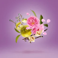 Casamorati La Tosca Eau De Parfum Kopen