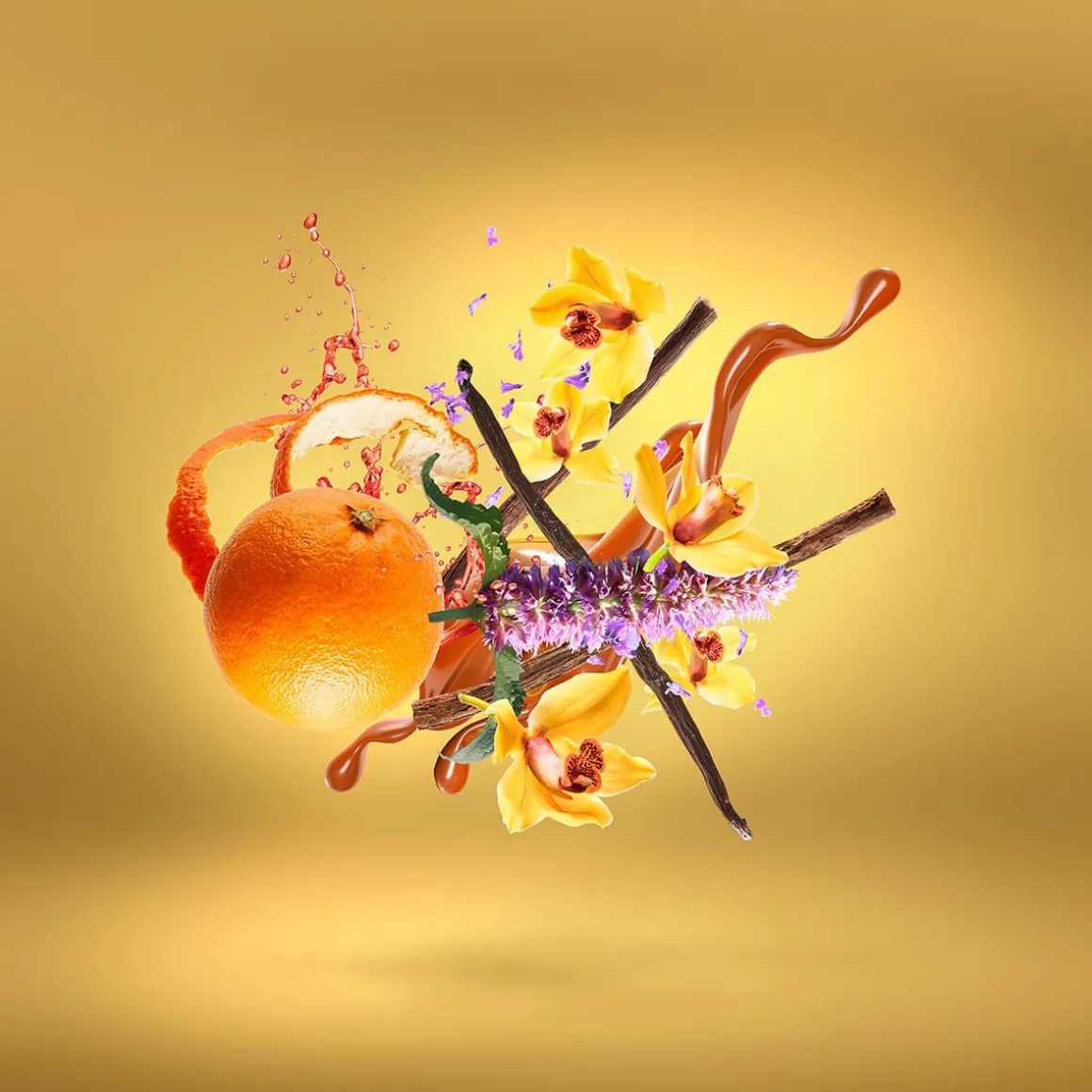 Casamorati Lira Eau De Parfum Kopen