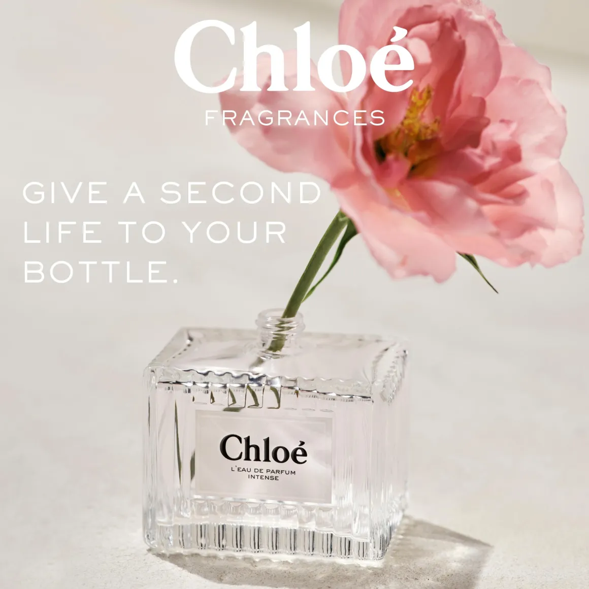Chloé Chloé Intense Parfum Intense Kopen