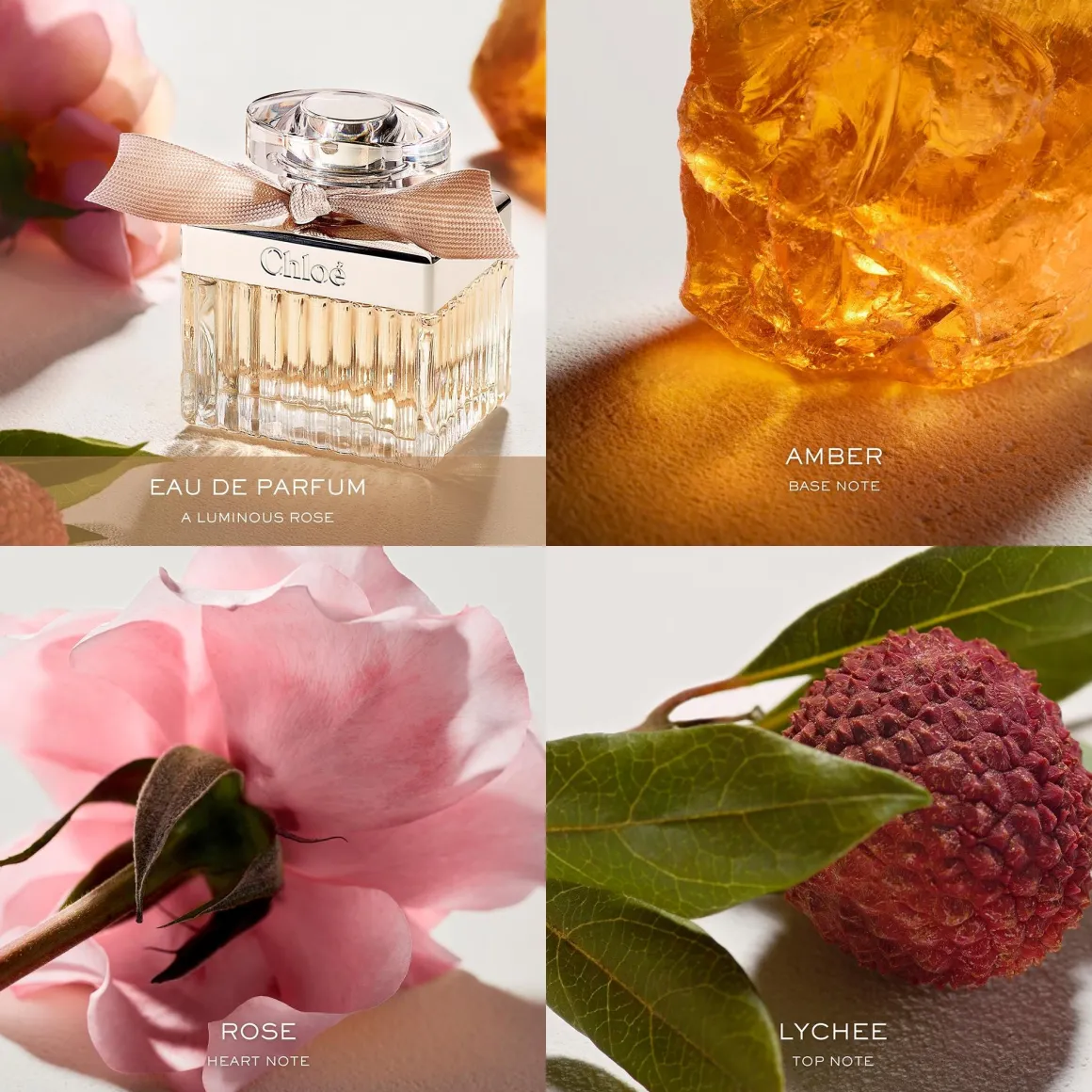 Chloe Eau De Parfum Navulling Kopen