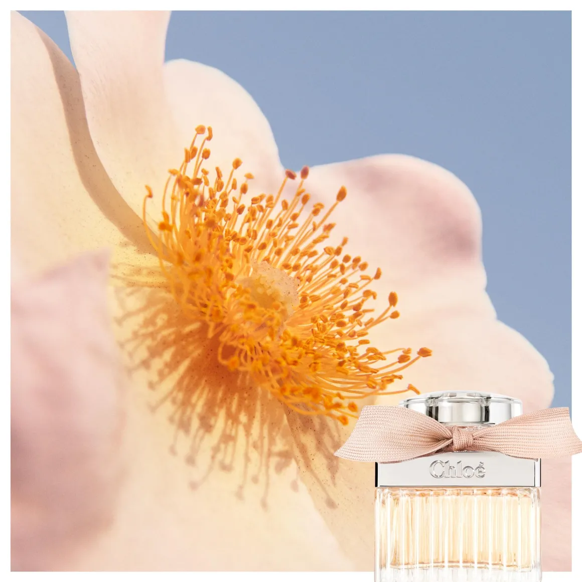 Chloe Eau De Parfum Navulling Kopen