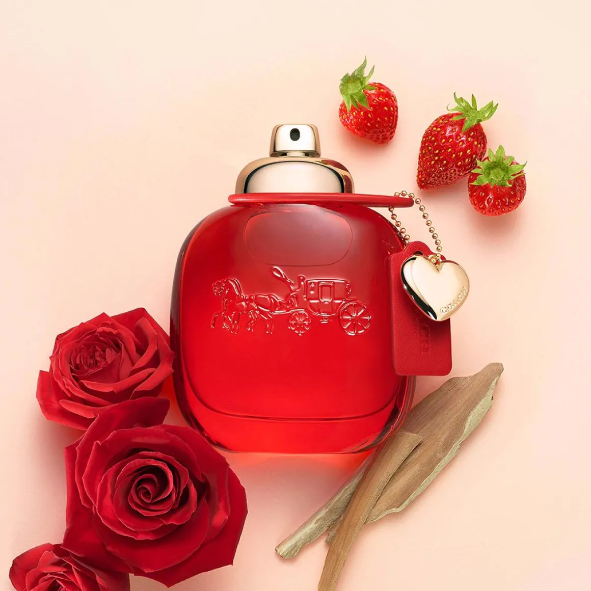 Coach Love Eau De Parfum Kopen
