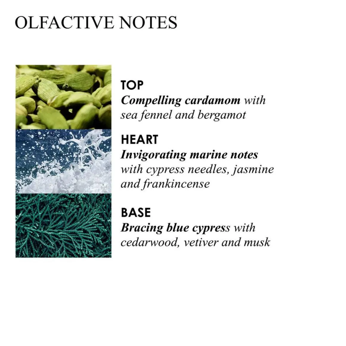 Coastal Cypress & Sea Fennel Fine Liquid