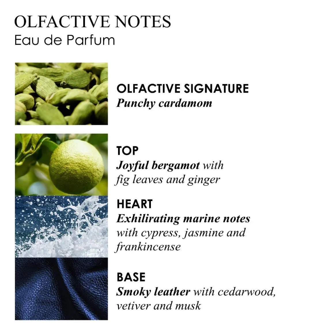 Coastal Cypress & Sea Fennel Parfum Kopen