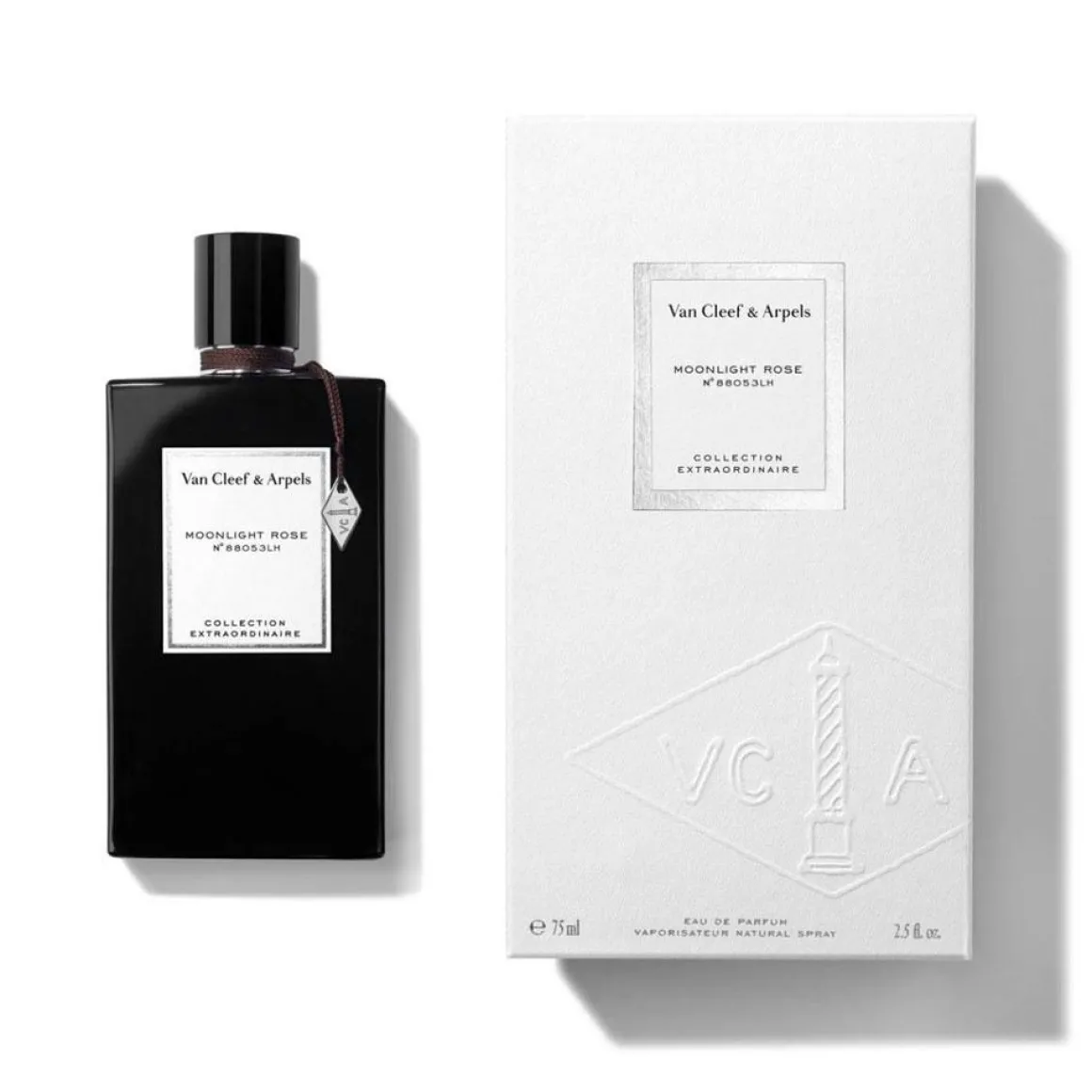 Collection Extraordinaire Moonlight Rose