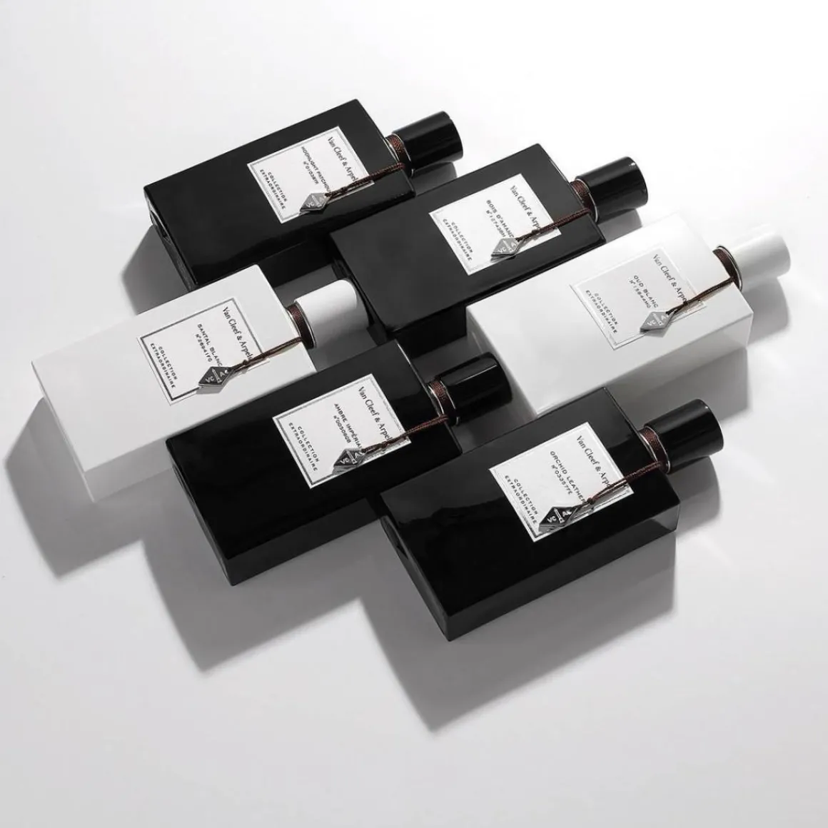 Collection Extraordinaire Patchouli Blanc