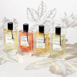 Collection Extraordinaire Rose Rouge Kopen