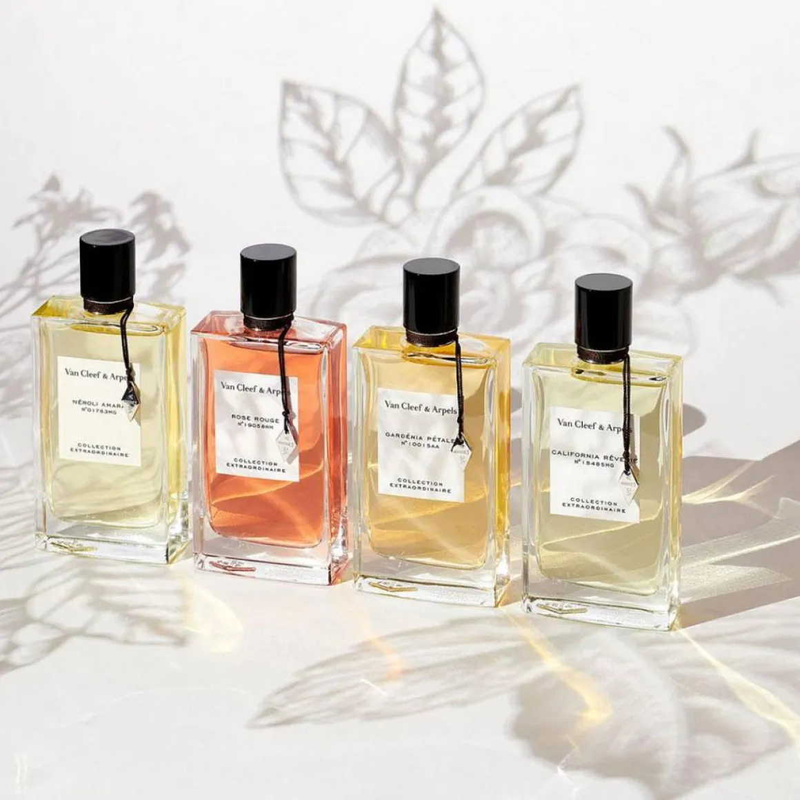 Collection Extraordinaire Gardenia Petale