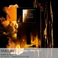 Dior Dior Homme Parfum Kopen
