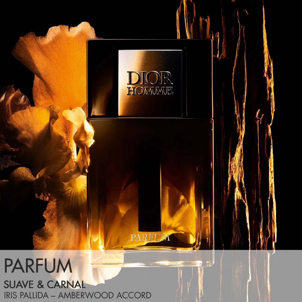 Dior Dior Homme Parfum Kopen