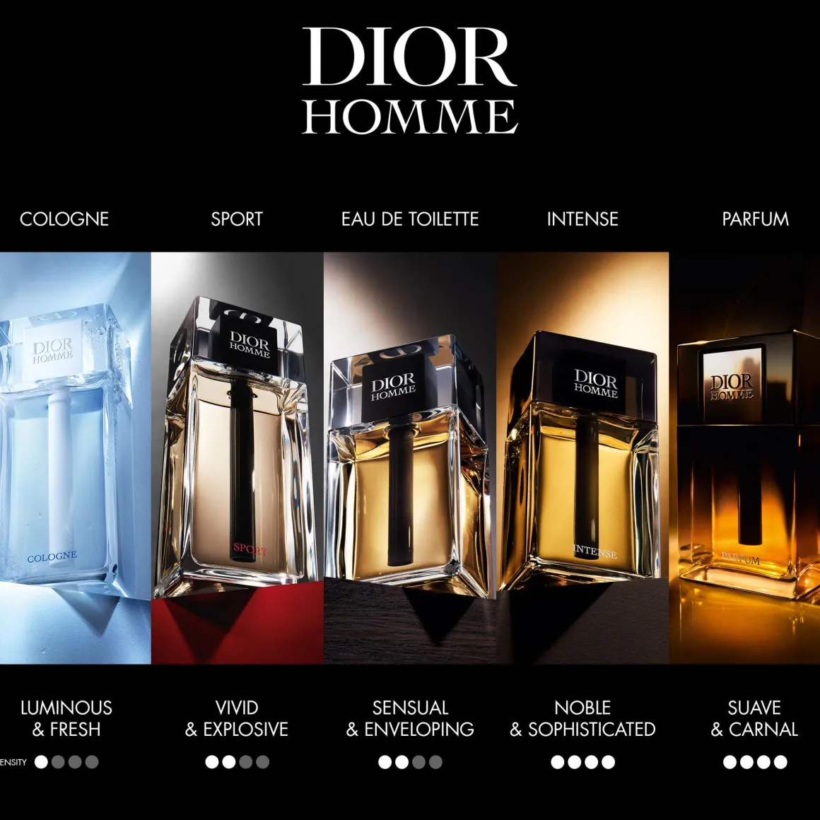 Dior Dior Homme Parfum Kopen