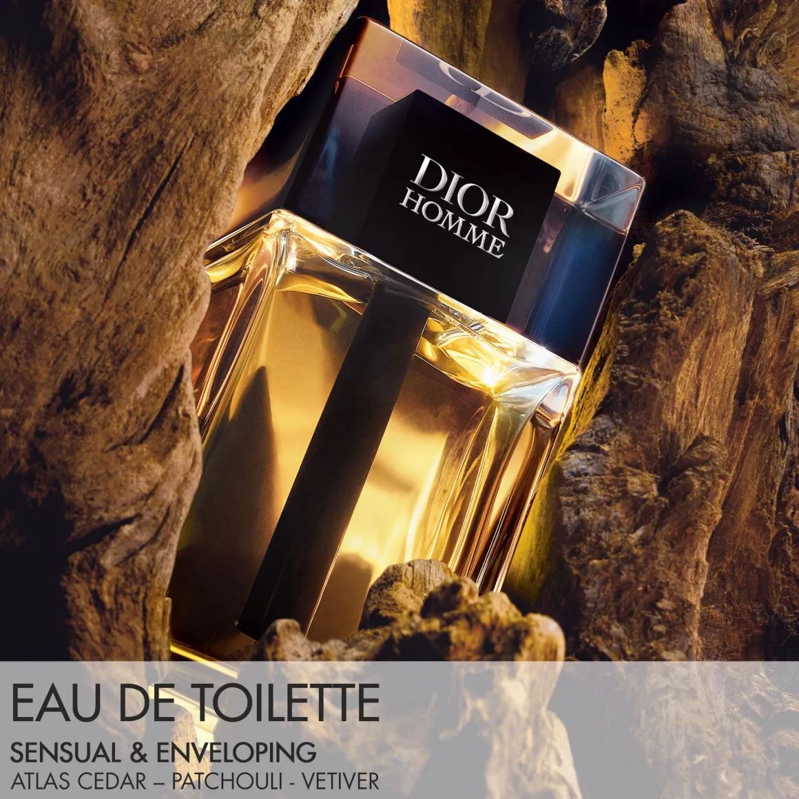 Dior Homme Eau De Toilette Kopen