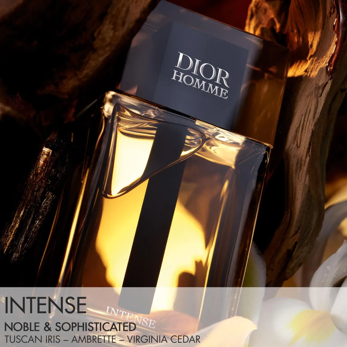 Dior Homme Intense Eau De Parfum Kopen