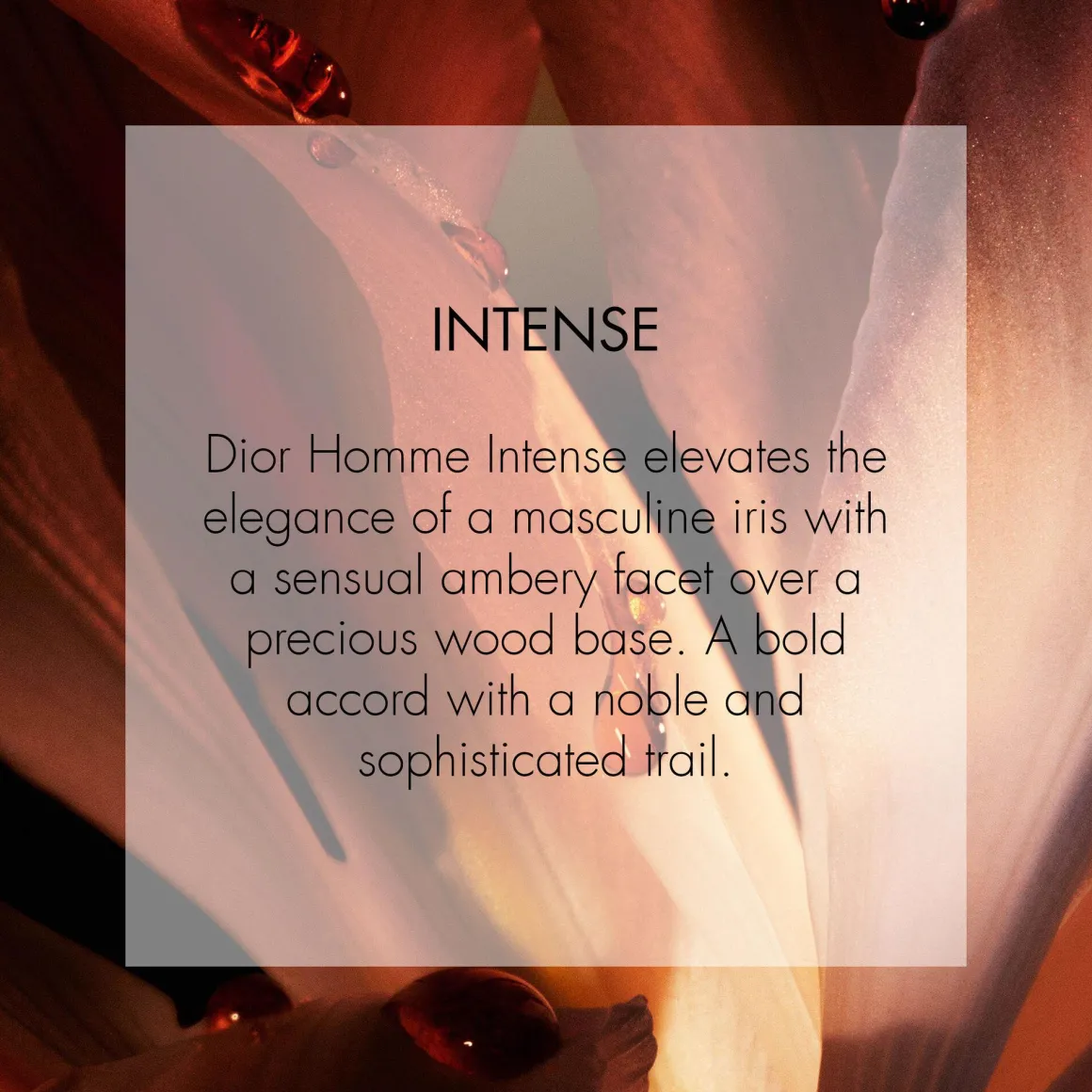 Dior Homme Intense Eau De Parfum Kopen