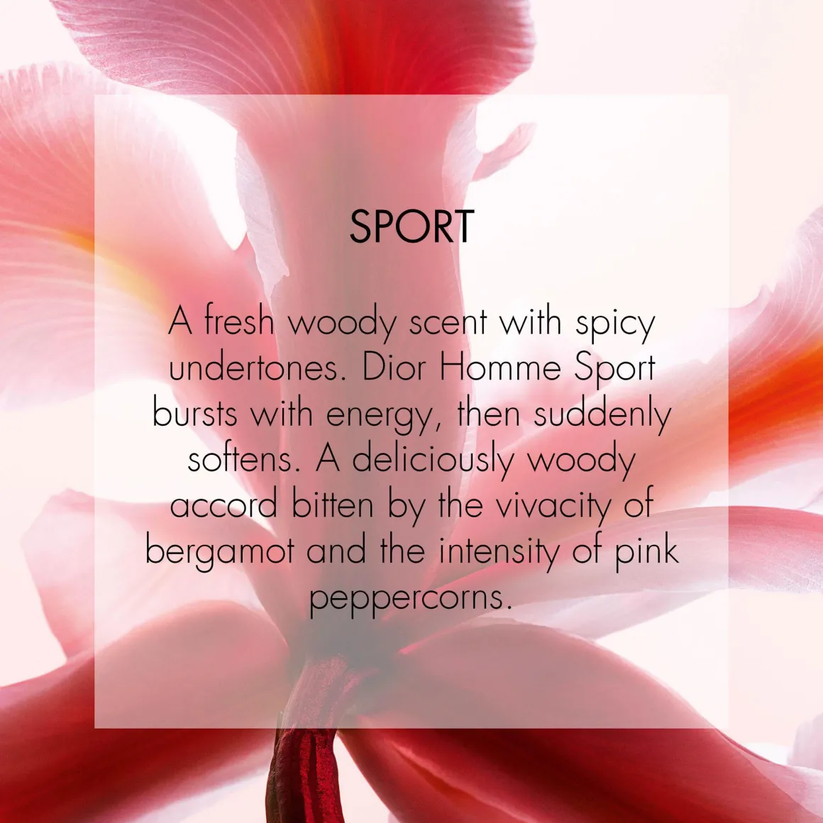 Dior Homme Sport Eau De Toilette Kopen