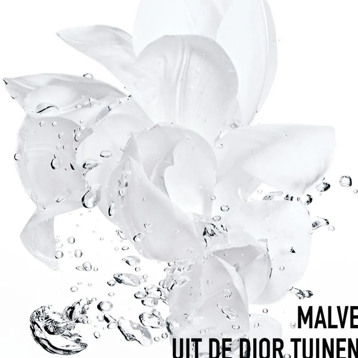 Dior Hydra Life Sorbet Creme Kopen